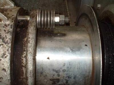 Steam Peeler Restoration Case Study